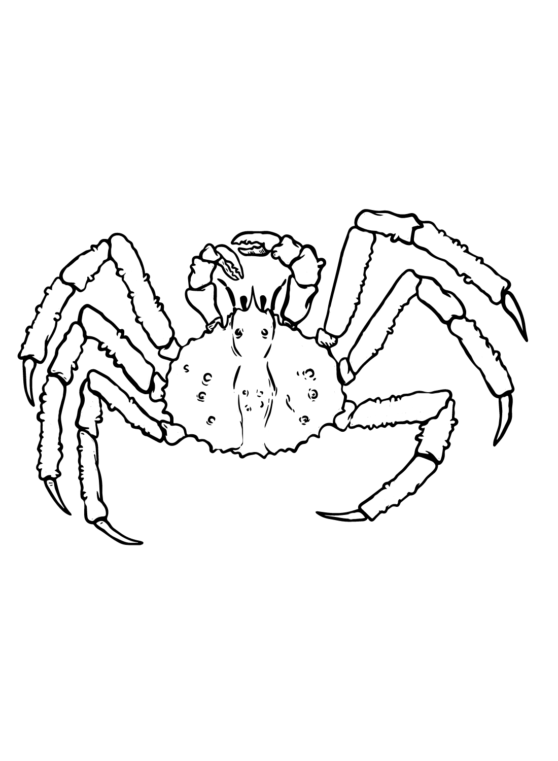 King crab coloring pages printable for free download