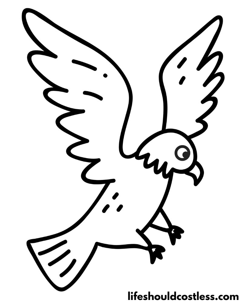 Bird coloring pages free printable pdf templates