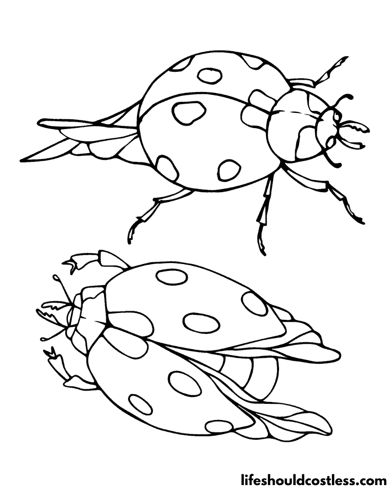 Ladybug coloring pages free printable pdf templates