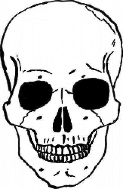 Skulls drawing skull template skull stencil
