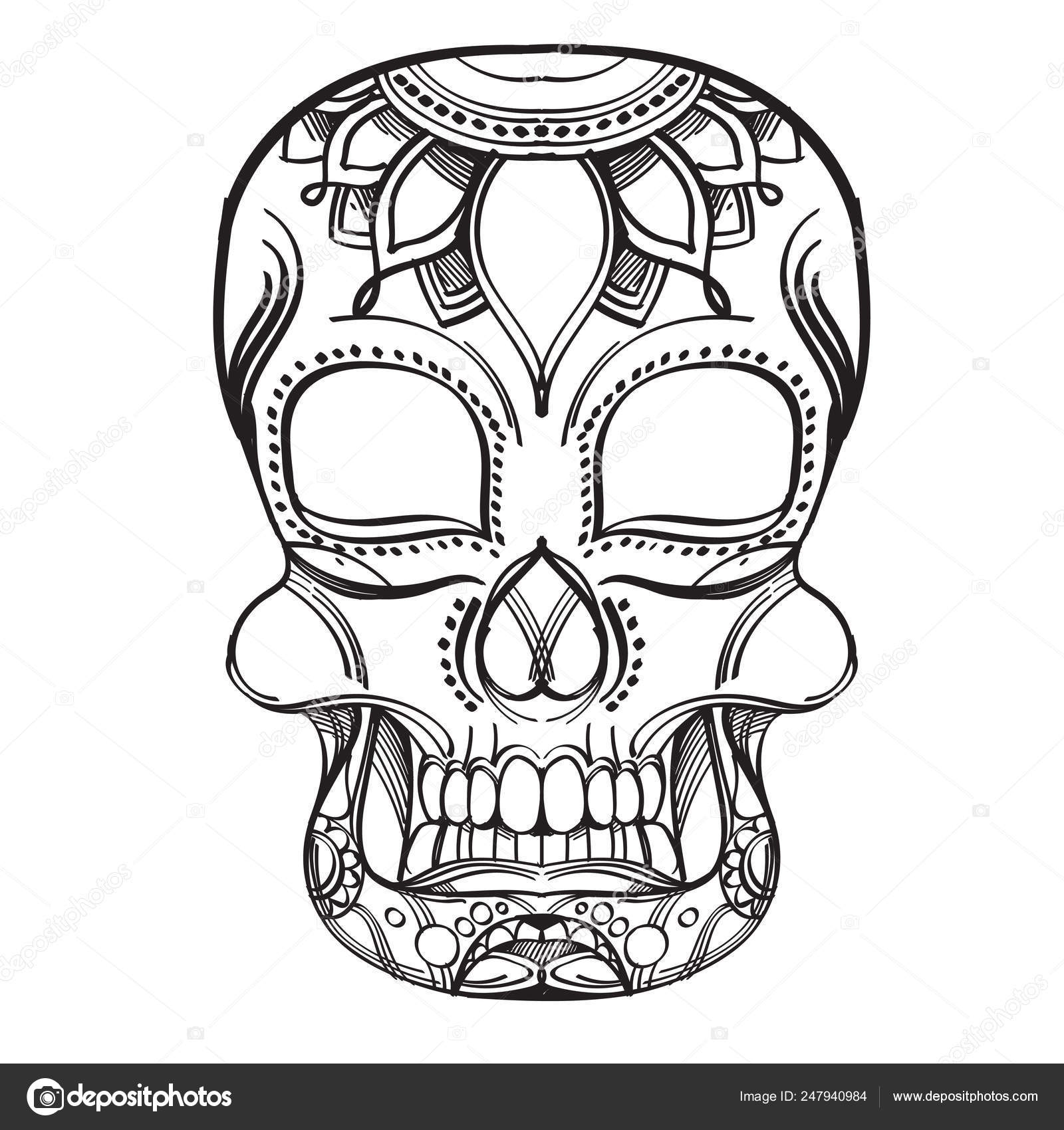 Skull with a pattern contour illustration for coloring template stock vector by filkusto