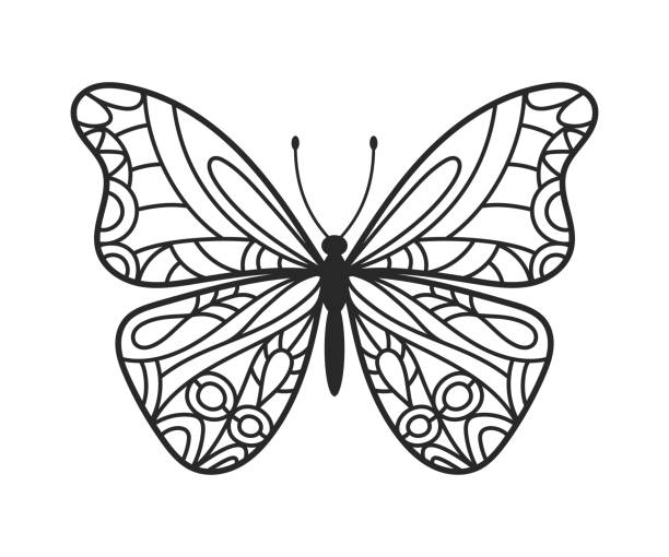 Butterfly coloring stock photos pictures royalty