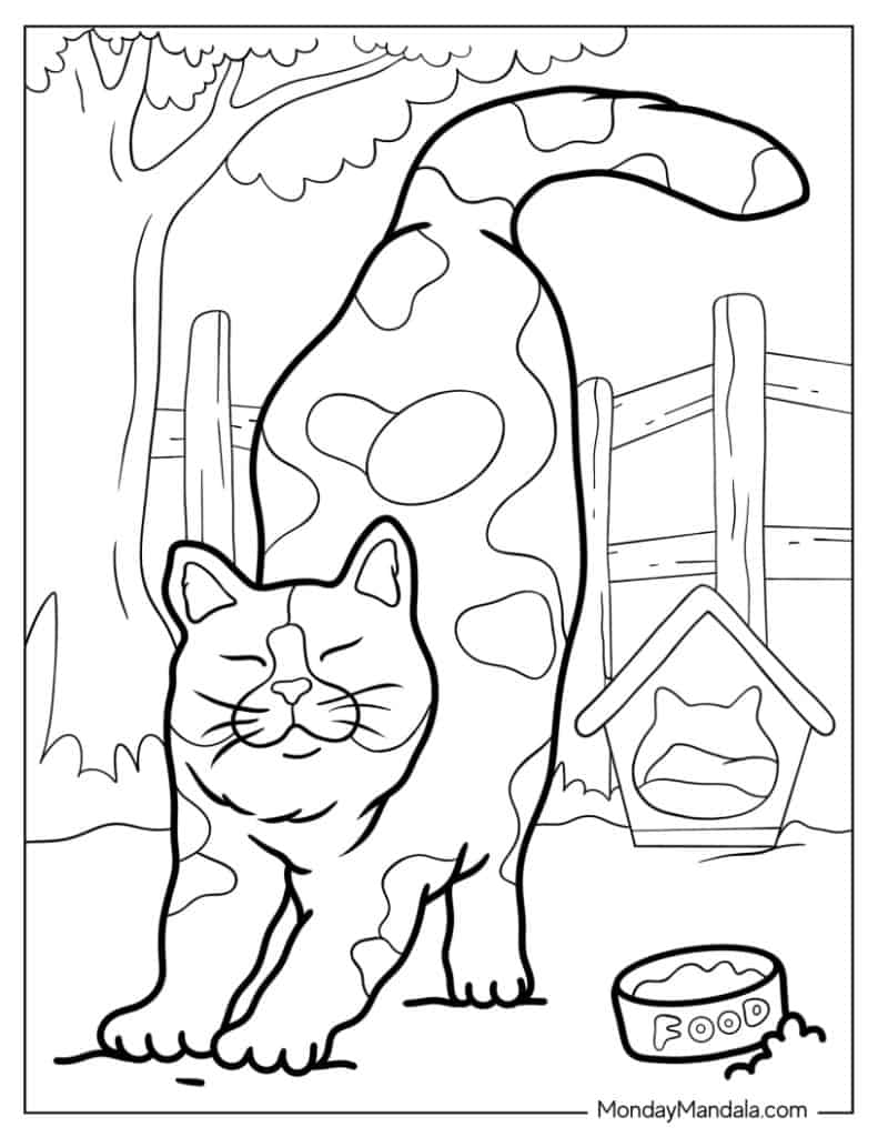 Cat coloring pages free pdf printables
