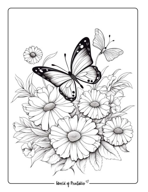 Best flower coloring pages for kids adults
