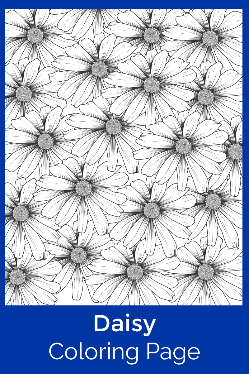 Free printable daisy coloring page