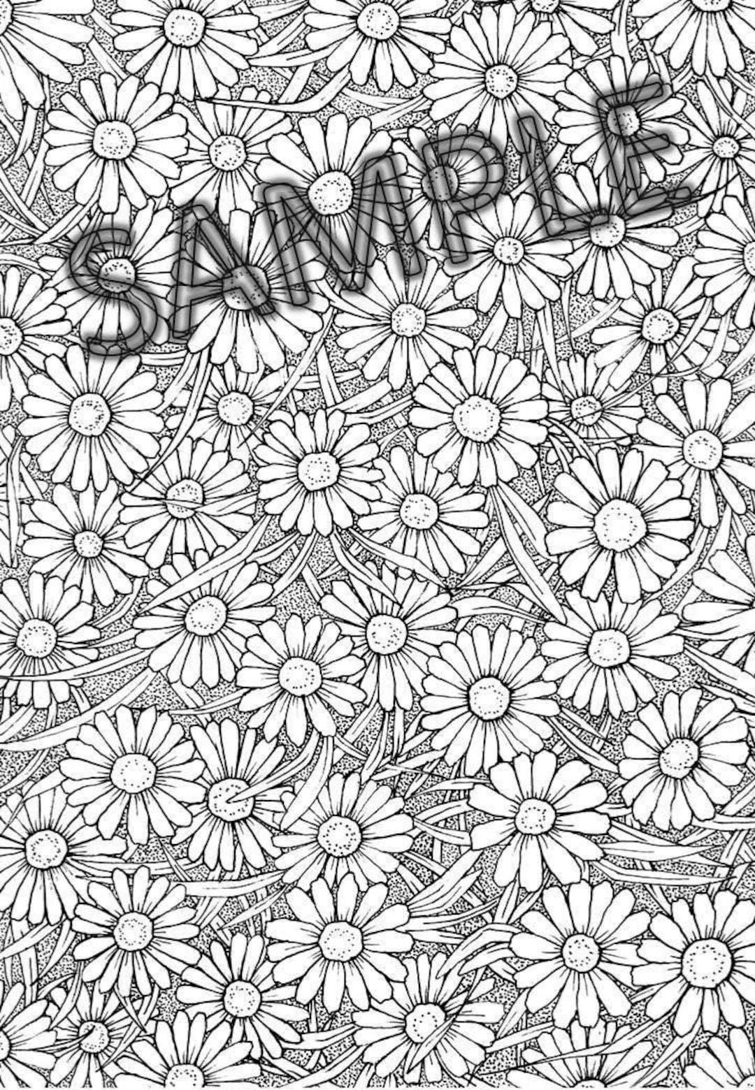 Daisies coloring page
