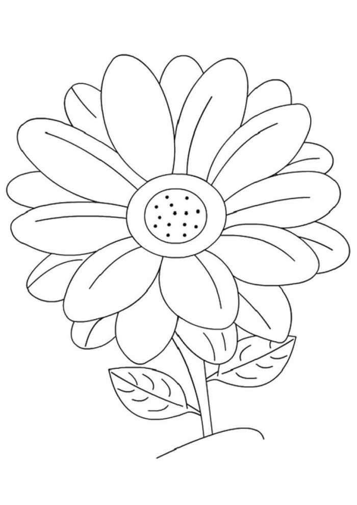 Daisy coloring pages