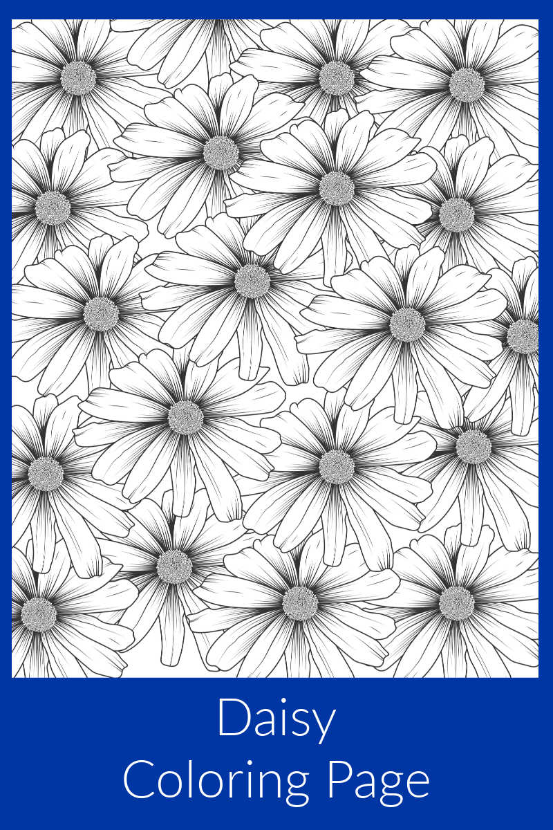Free printable daisy coloring page