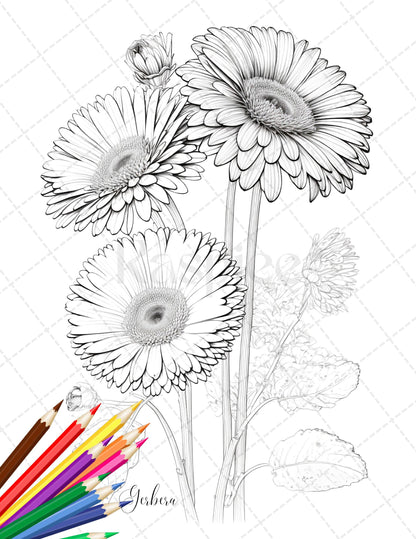 Botanical flowers printable coloring pages for adults floral grays â coloring