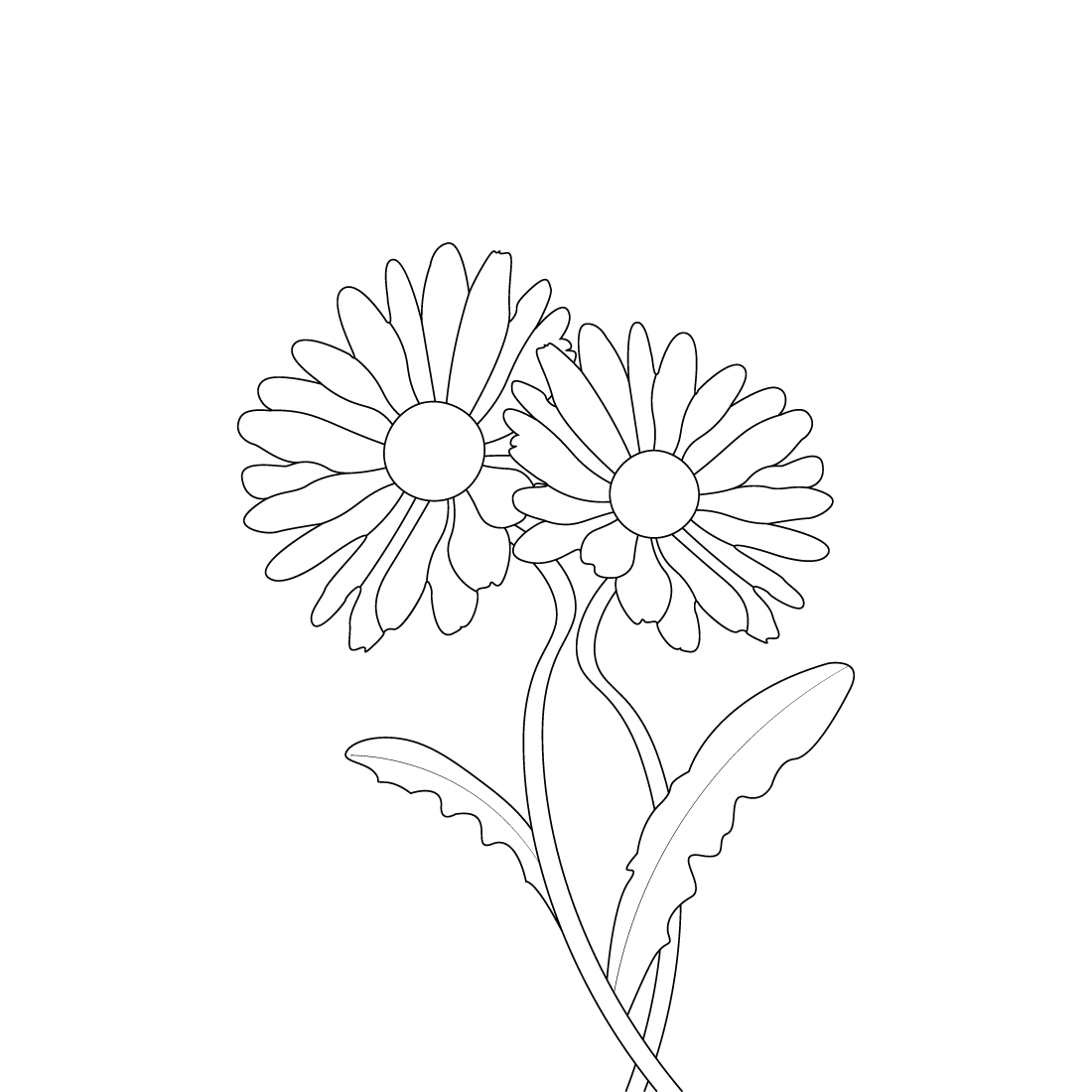 Daisy flower coloring book adults