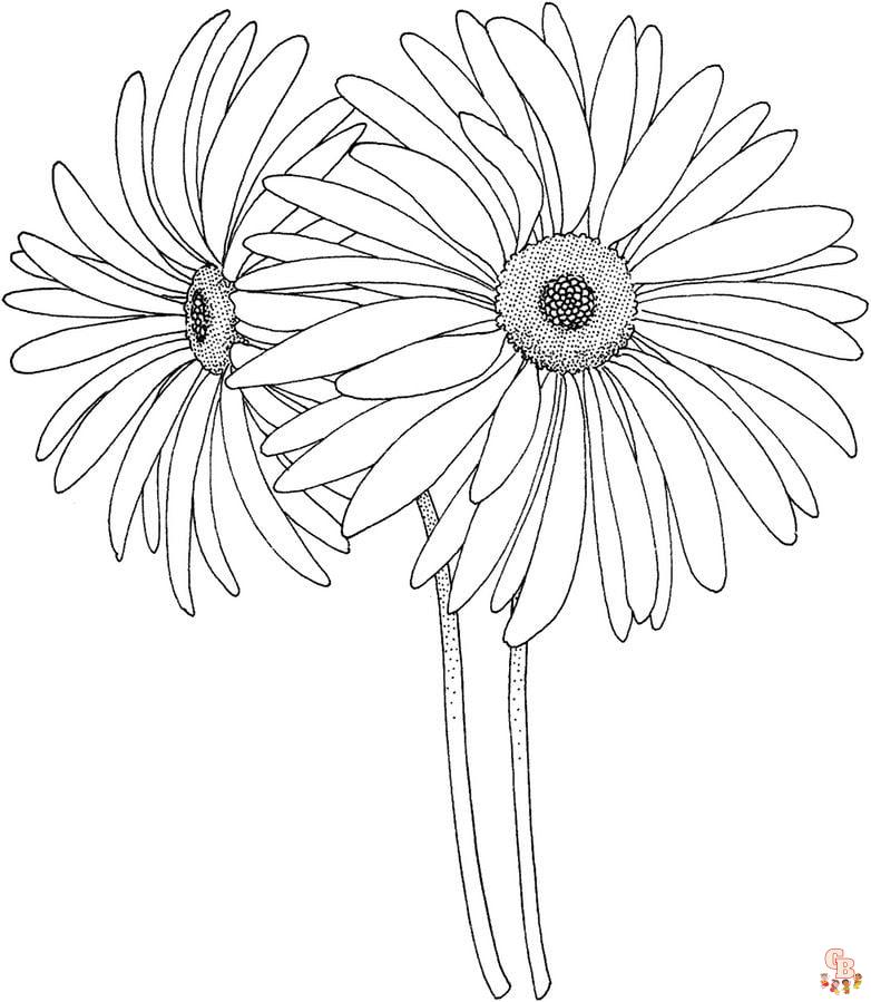 Engaging gerberas coloring pages printable free easy designs