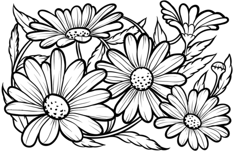 Daisies coloring page free printable coloring pages