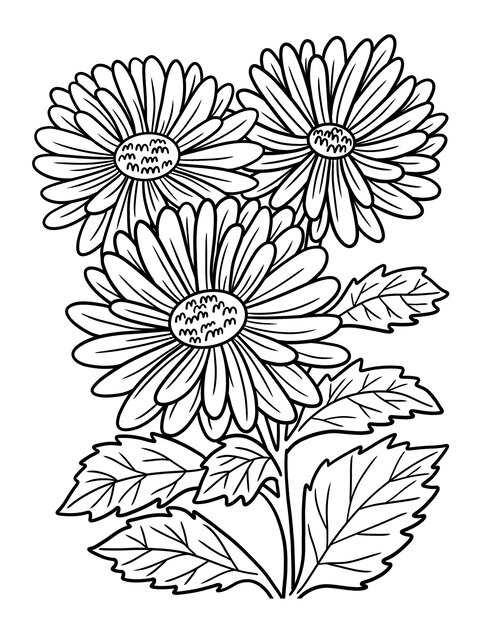 Daisy flower coloring page images