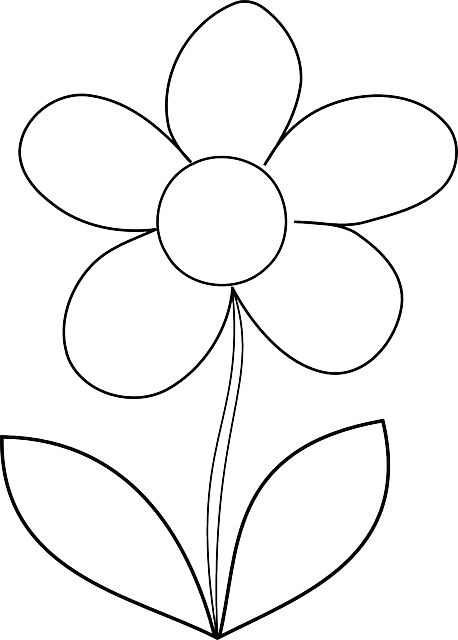 Download flower beautiful flowers nature royalty