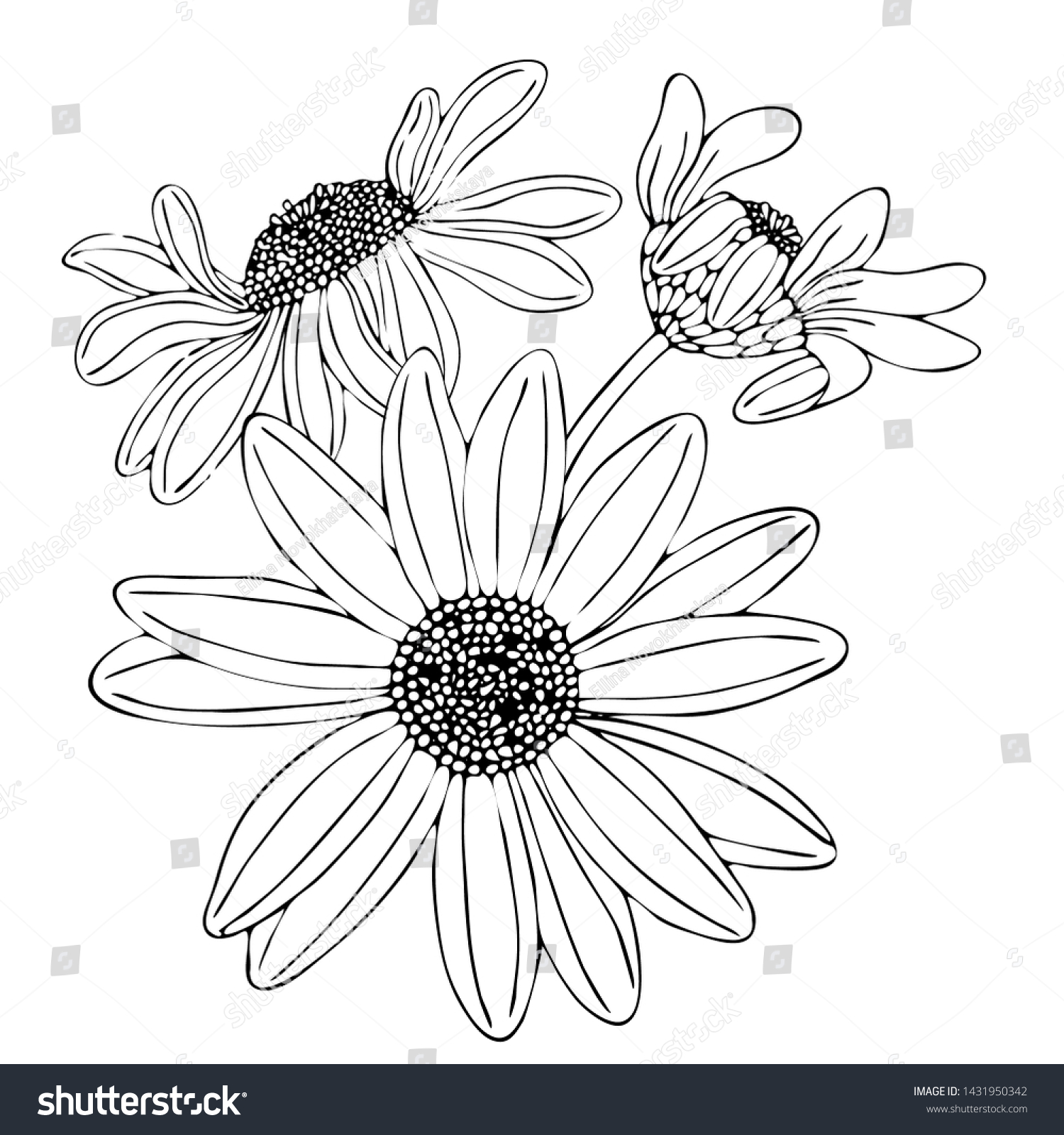 Floral coloring template black line flower stock vector royalty free