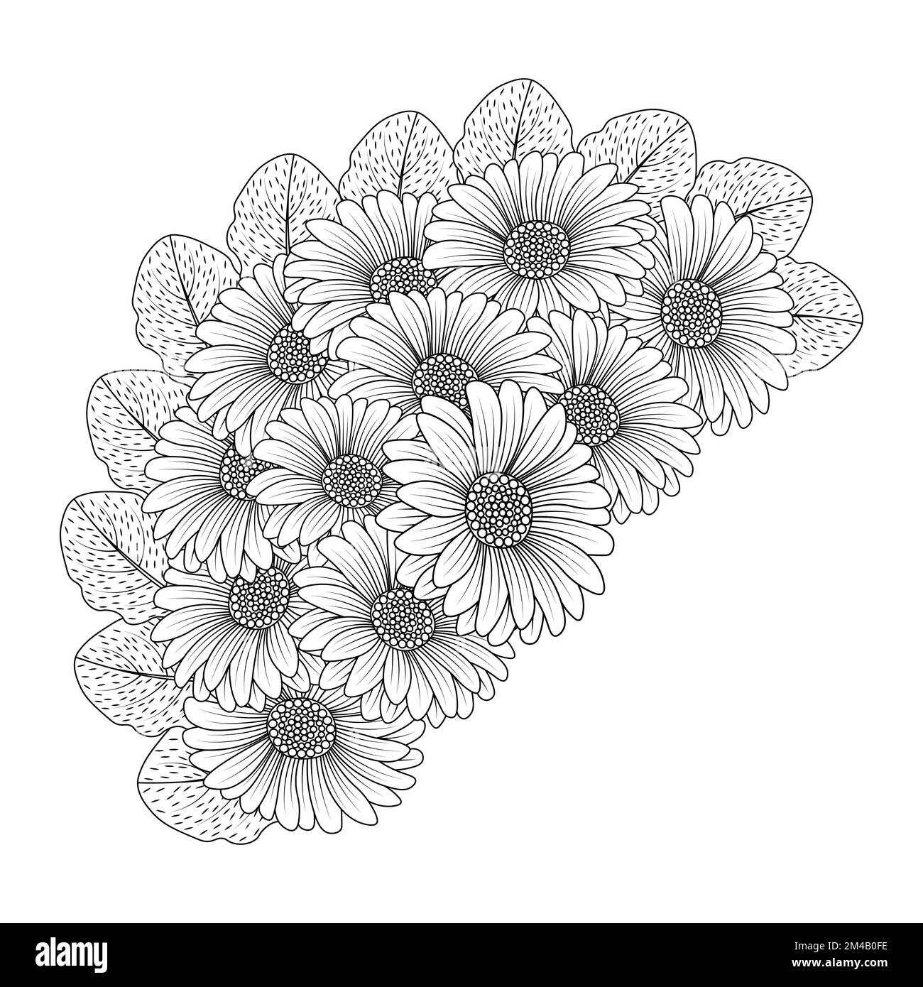 Chamomile and daisy flower coloring page design with detailed line art vector graphic stock vector image art