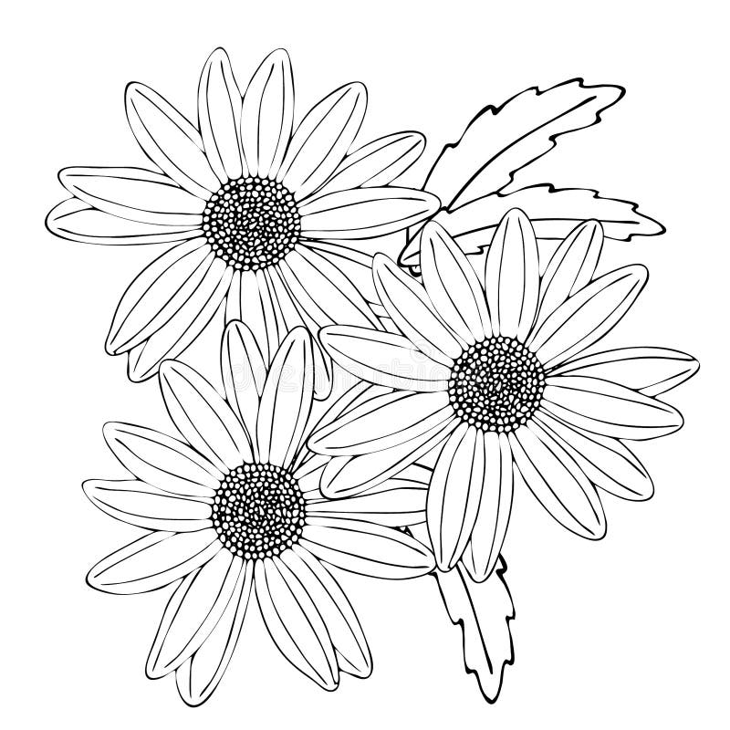 Floral coloring template with black line flower stock vector