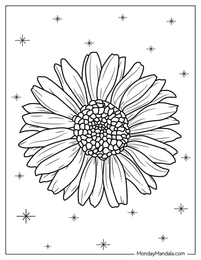 Daisy coloring pages free pdf printables