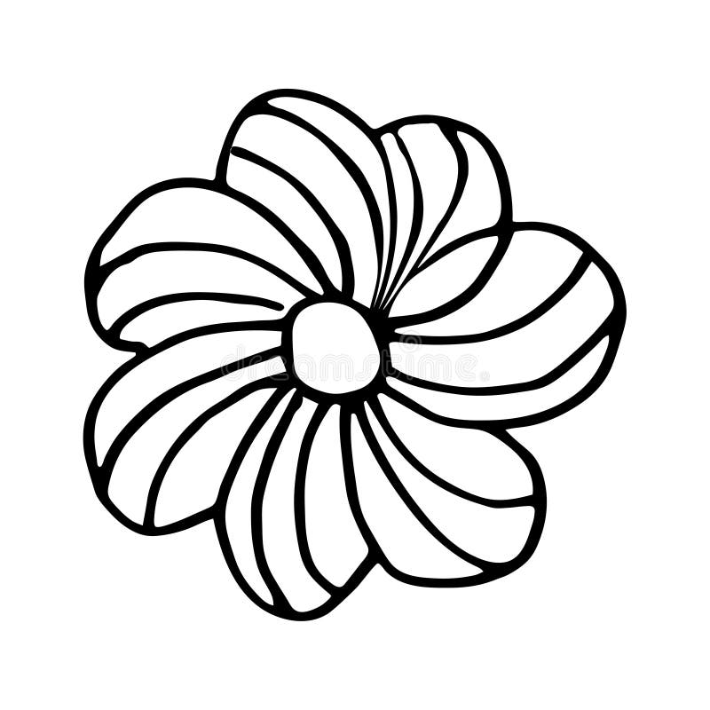 Colorful black and white pattern for coloring daisy flower illustration stock vector