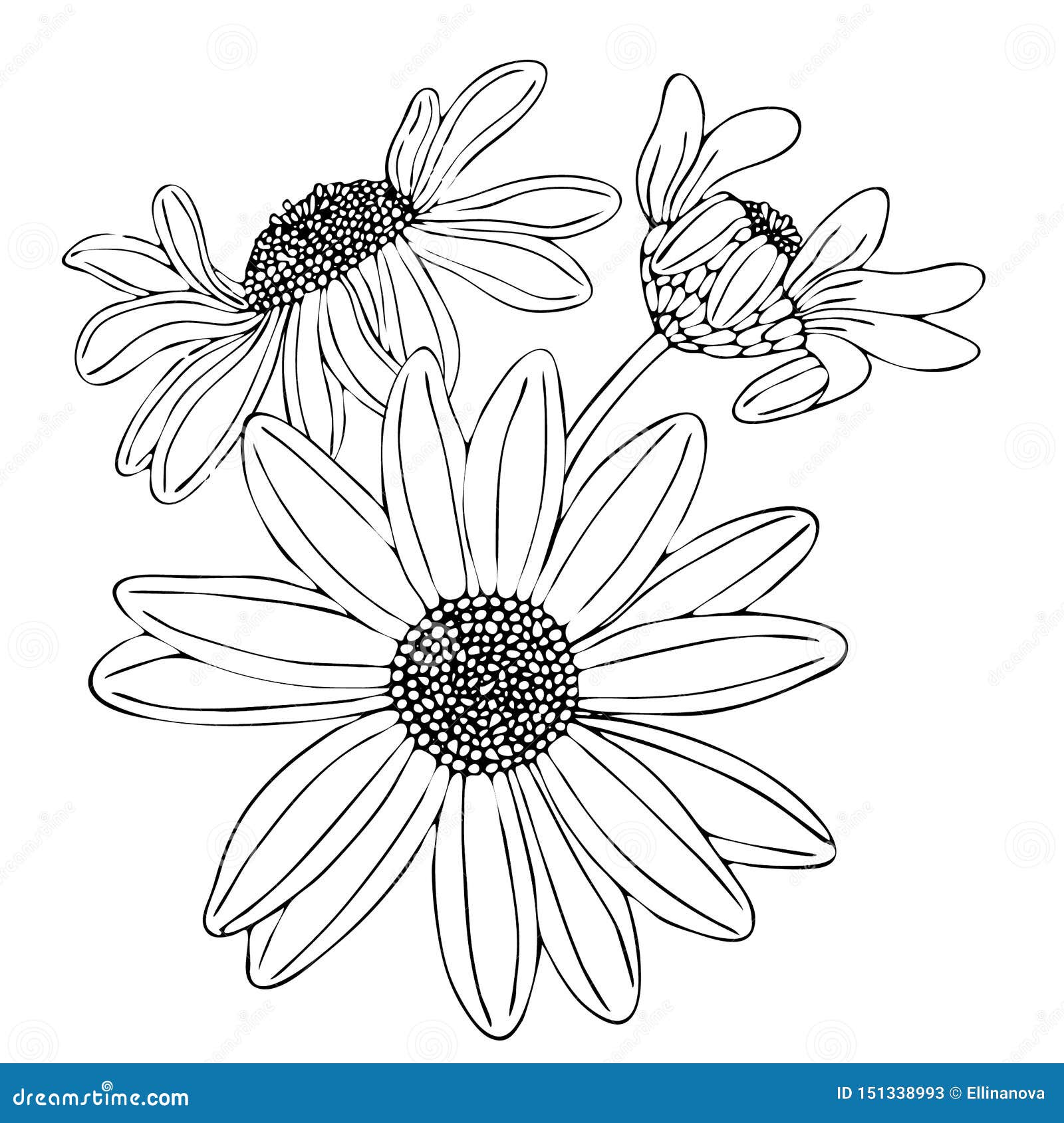 Floral coloring template with black line flower stock vector