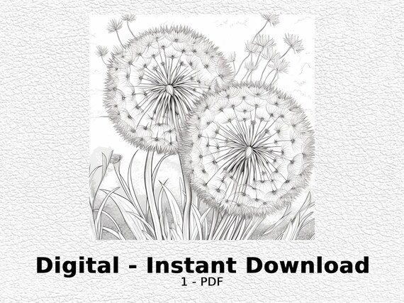 Dandelion wishes coloring page digital printable coloring page dandelion wishes coloring pag coloring page for adult printable