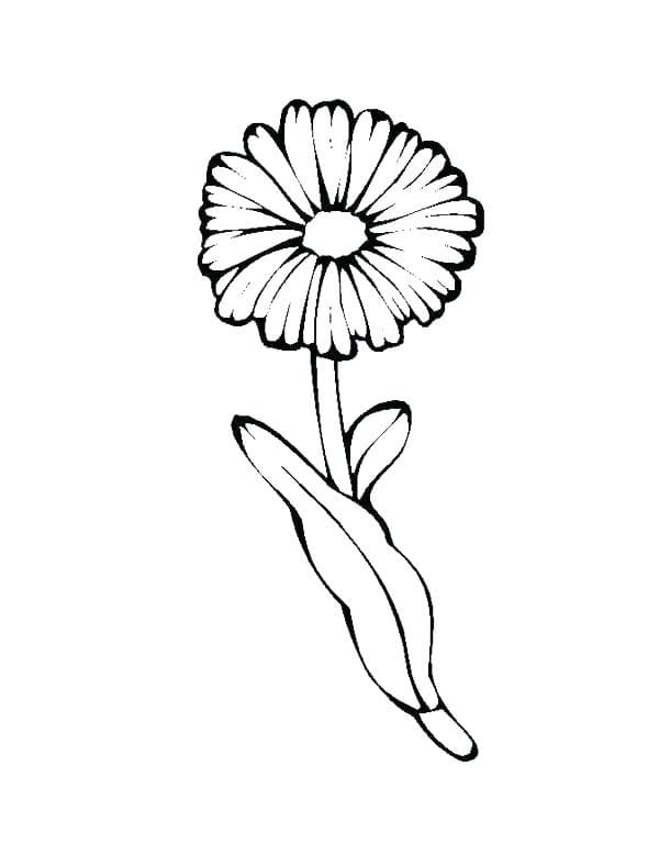 Printable daisy flower coloring page