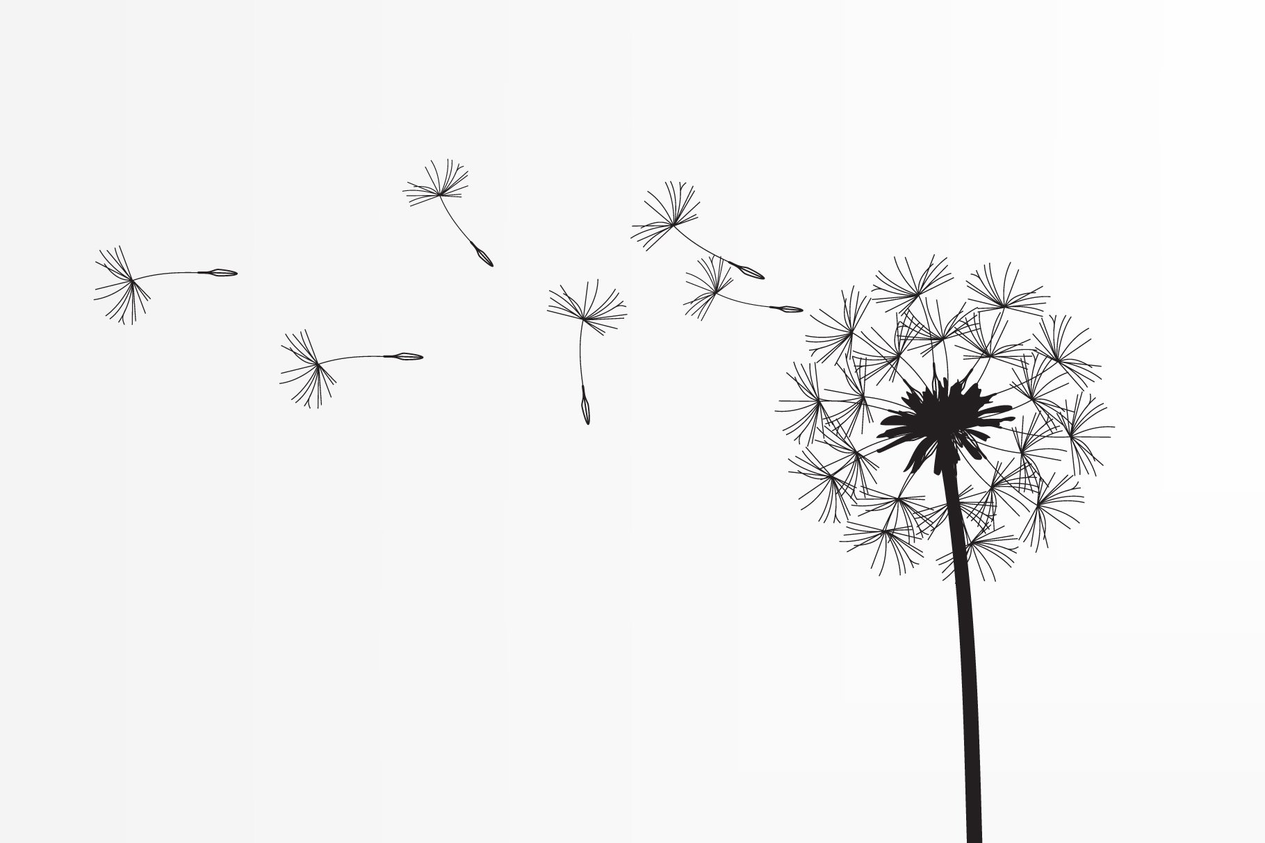Abstract background of a dandelion â