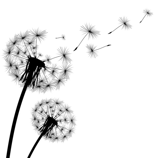 Dandelion clipart royalty