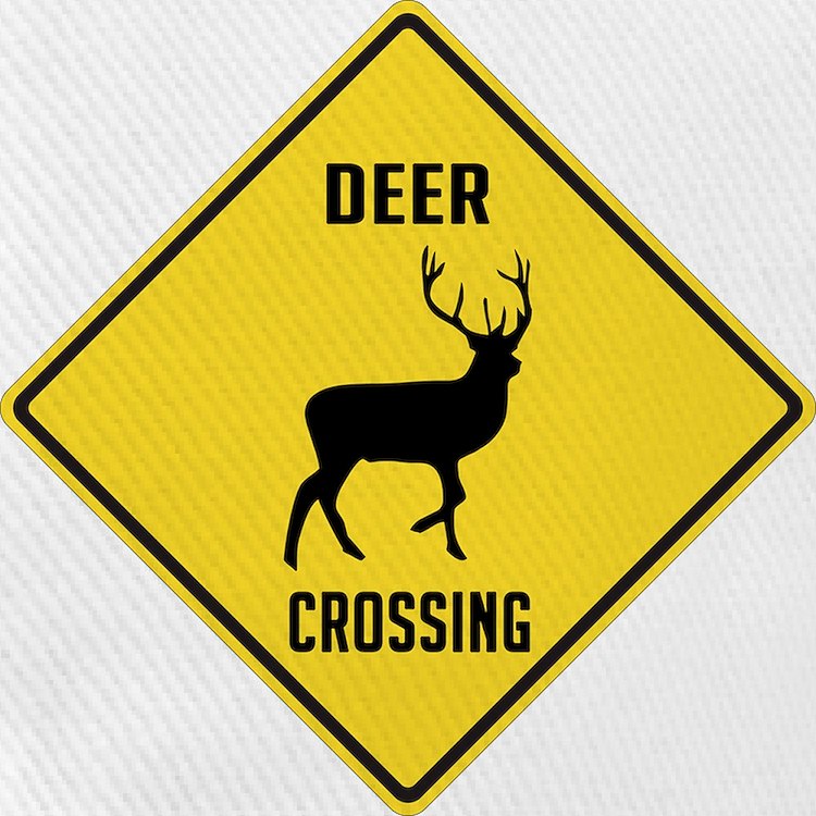 Deer crossing sign cap