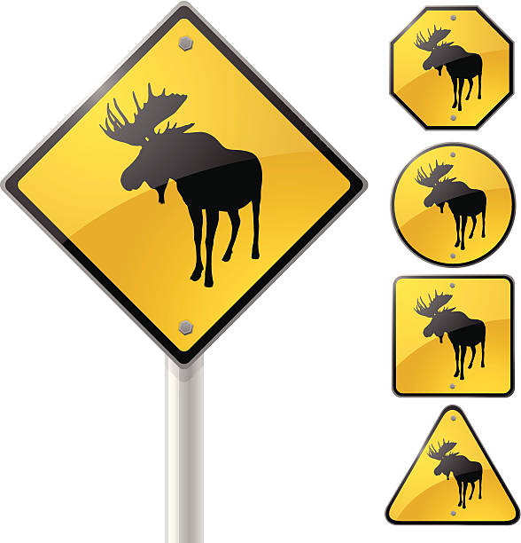 Moose road stock illustrations royalty