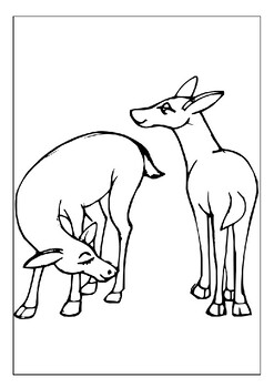 Let your childs creativity run wild with our printable deers coloring pages