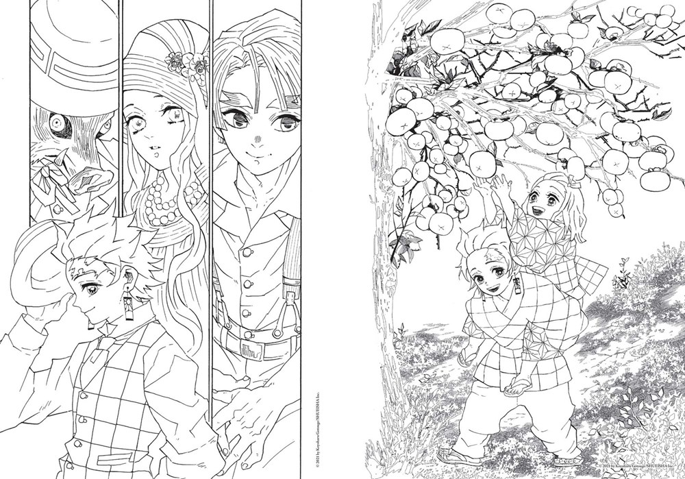 Demon slayer kimetsu no yaiba the official coloring book volume