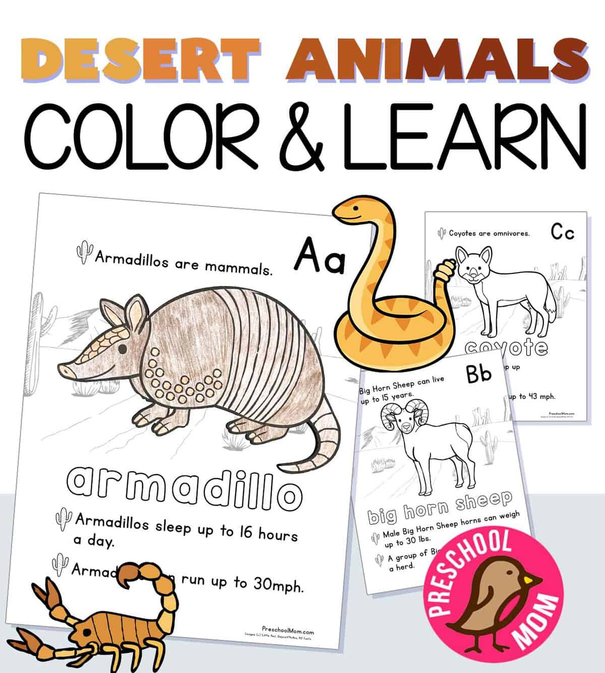 Desert animal coloring pages