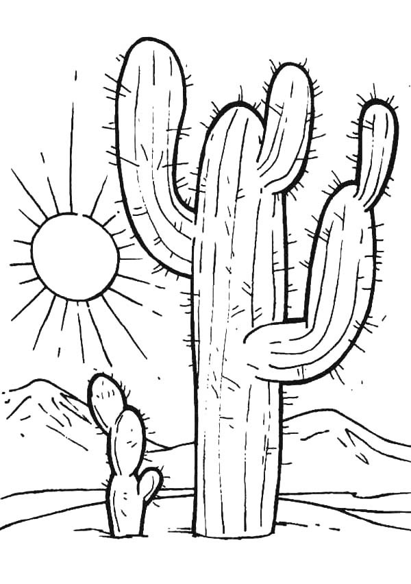 Desert coloring pages
