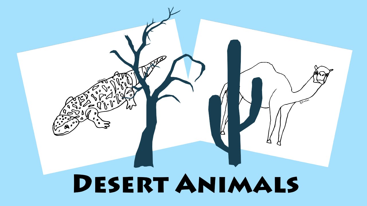 Desert animals coloring pages