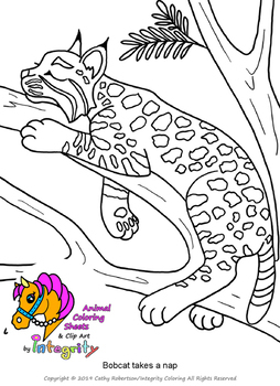 Desert animals coloring pages