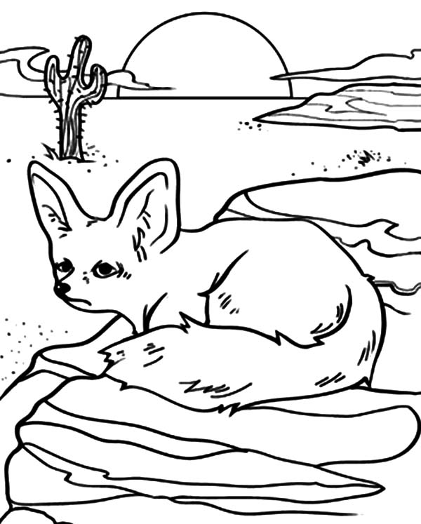 Desert coloring pages