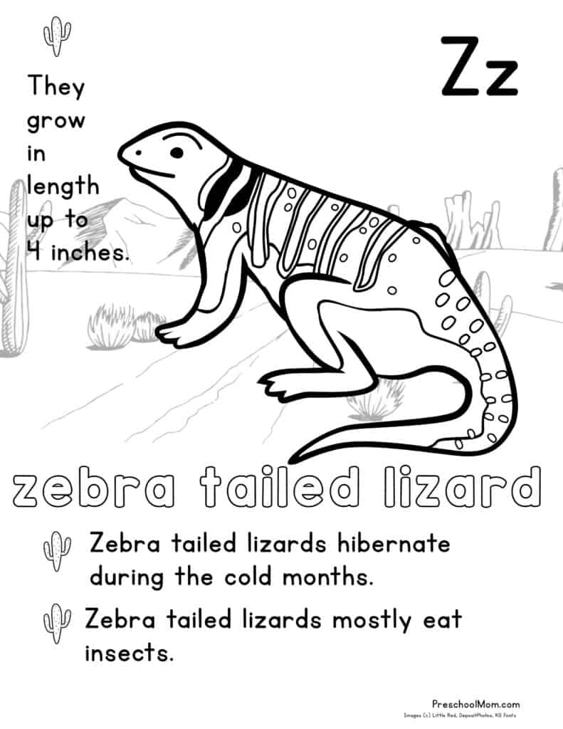 Desert animal coloring pages