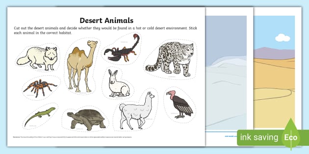 Desert animals coloring sheets