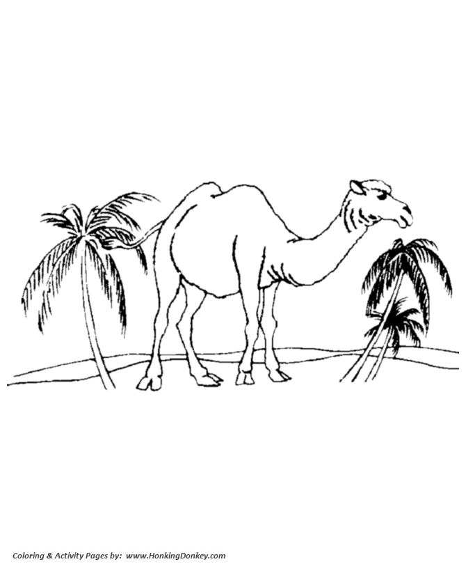 Wild animal coloring pages desert camel coloring page and kids activity sheet
