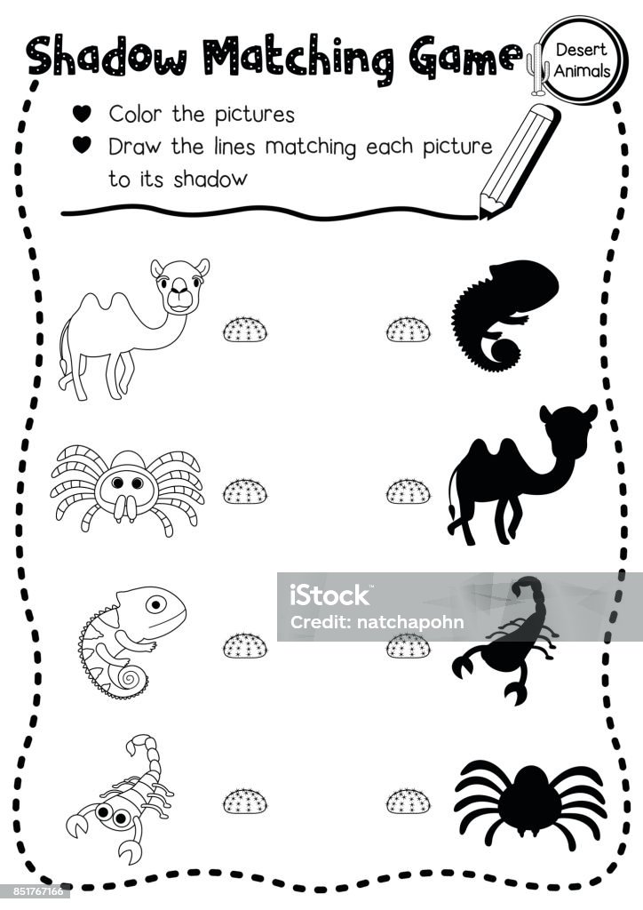 Shadow matching game desert animal coloring page version stock illustration