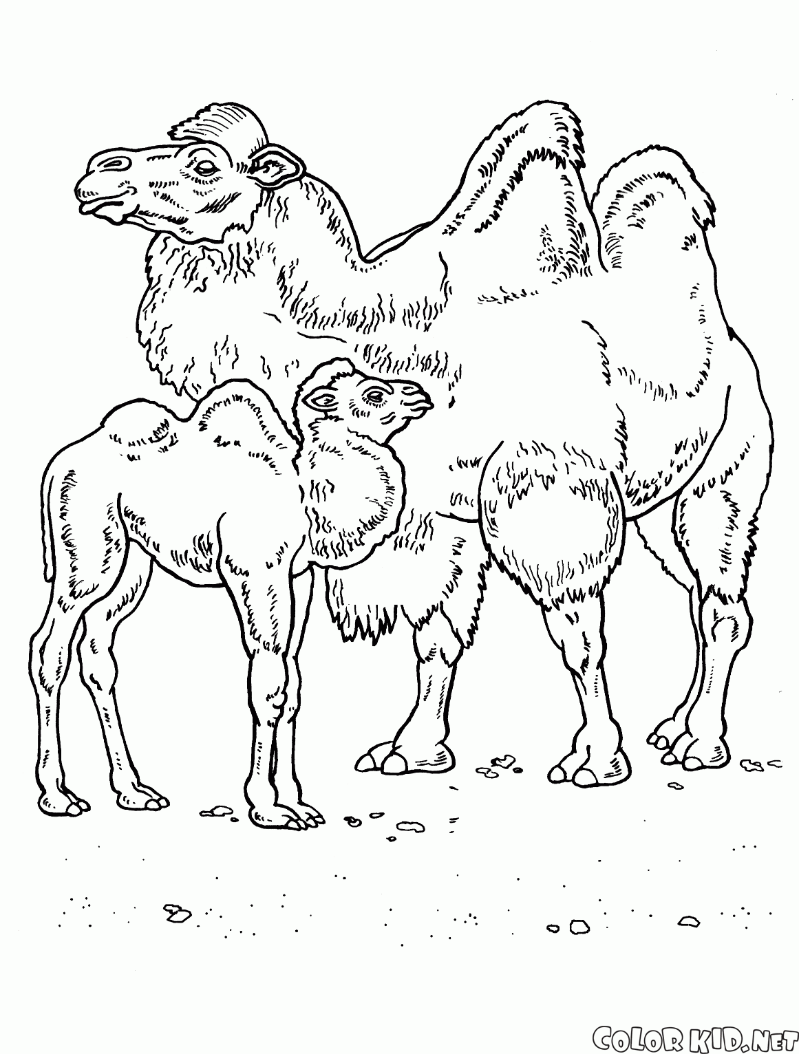Coloring page