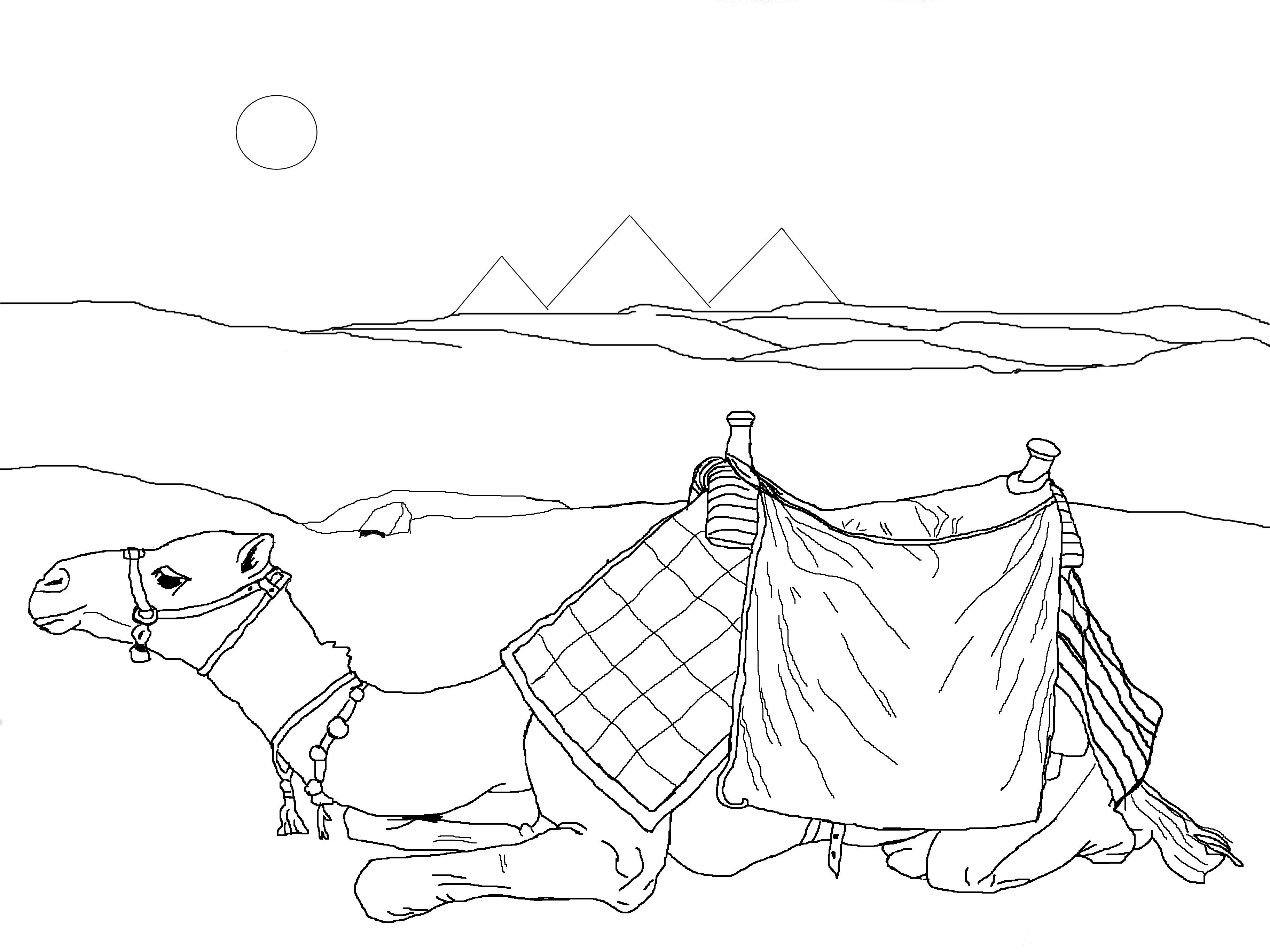 Desert coloring pages