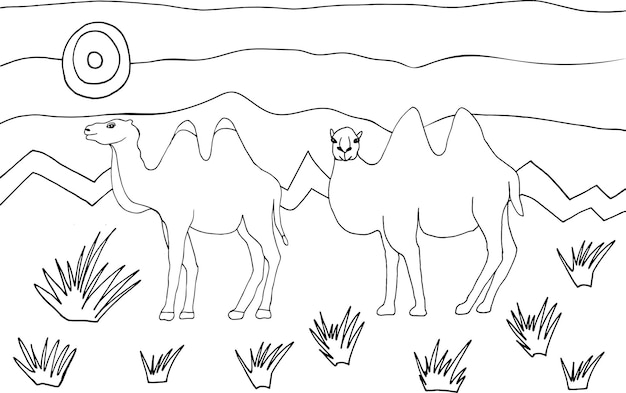 Premium vector coloring page with camels caravan desert landscape plants anti stress coloring book for children