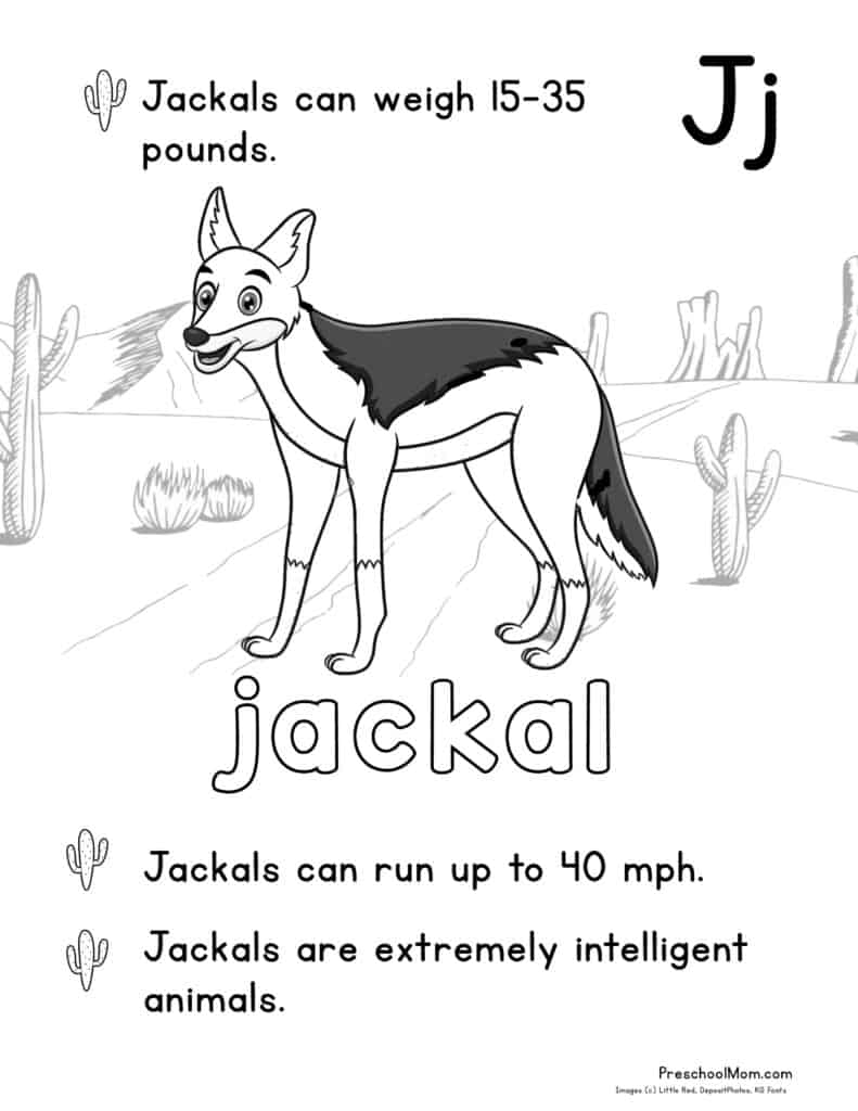 Desert animal coloring pages