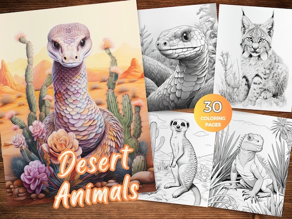 Desert animals coloring pages arizona desert animals coloring picture desert animals printable pdf desert oasis grayscale coloring book