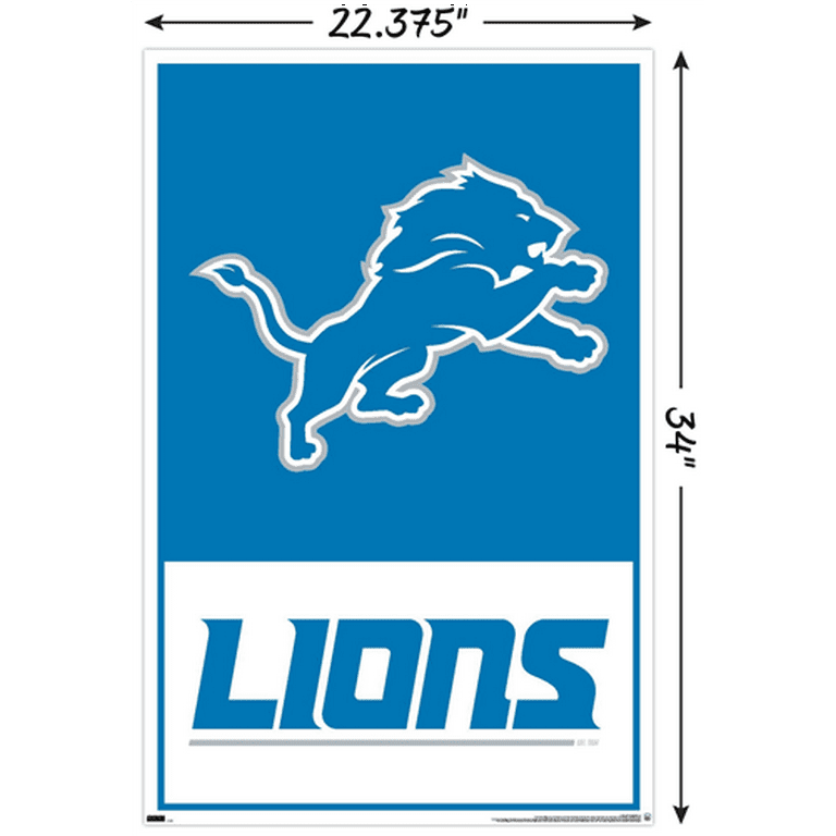 Nfl detroit lions