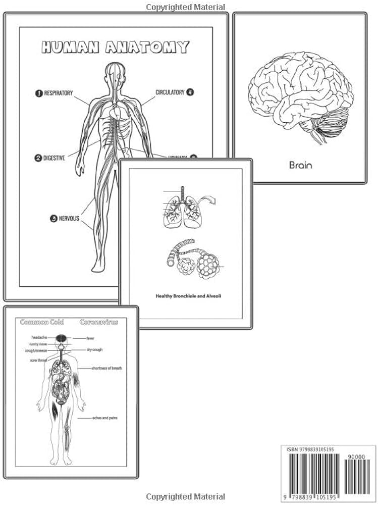Human anatomy coloring book for adults human body parts coloring book human anatomy coloring book for medical students and nurses human body men and women pages paperback x production