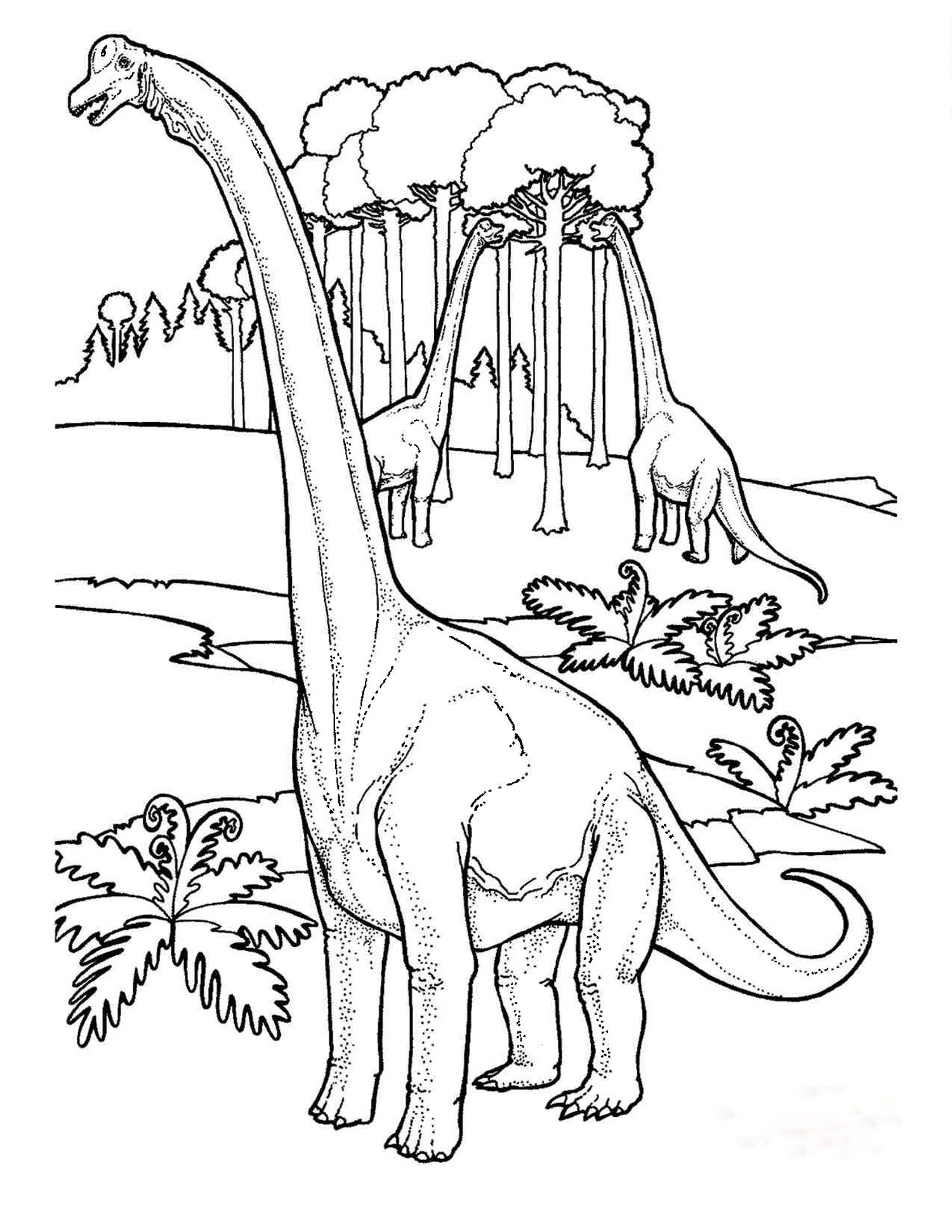 Dinosaur coloring sheets â seattles favorite garden store since