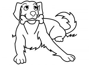 Dogs